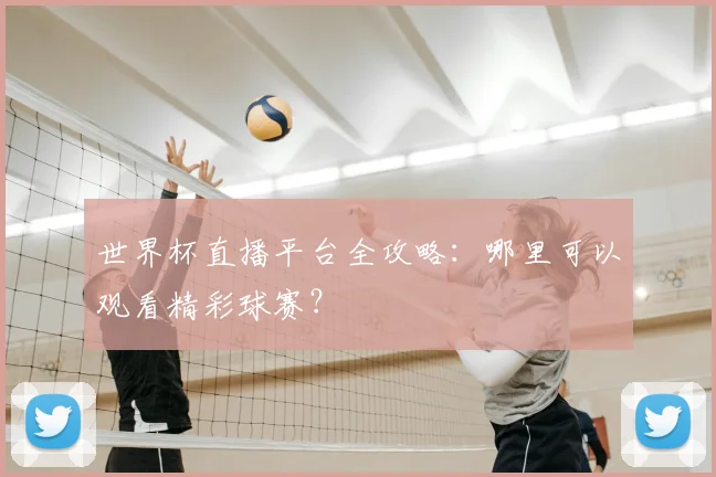 世界杯直播平台全攻略：哪里可以观看精彩球赛？