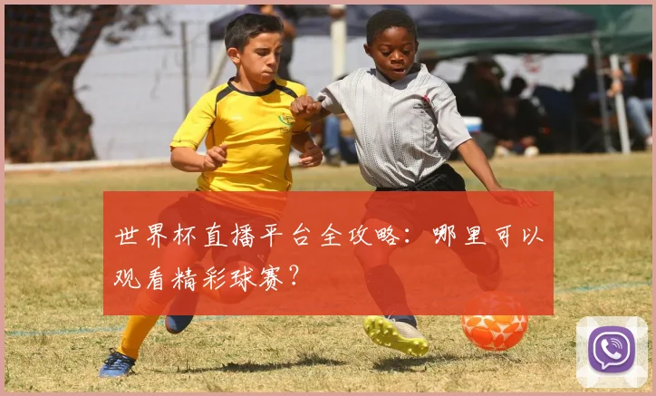 世界杯直播平台全攻略：哪里可以观看精彩球赛？