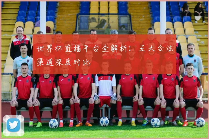 世界杯直播平台全解析：五大合法渠道深度对比