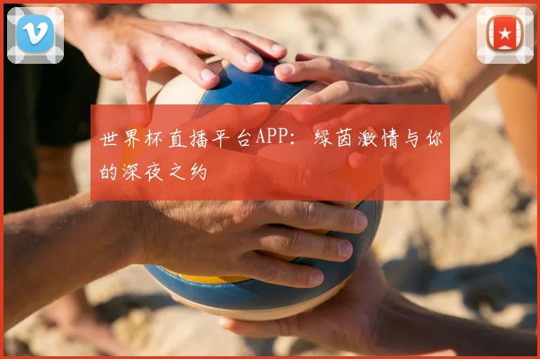 世界杯直播平台APP：绿茵激情与你的深夜之约
