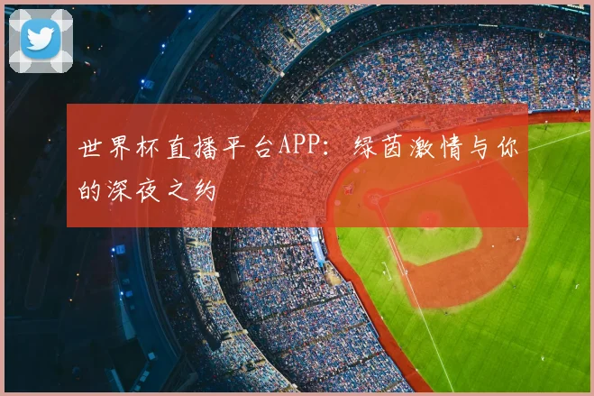 世界杯直播平台APP：绿茵激情与你的深夜之约